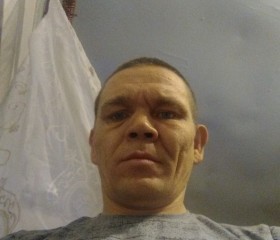 Владимир, 44 года, Боровский