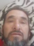 José zacarias, 51 год, São Fidélis