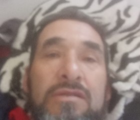 José zacarias, 53, Sao Fidelis