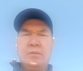 Миша, 45 лет, Бишкек