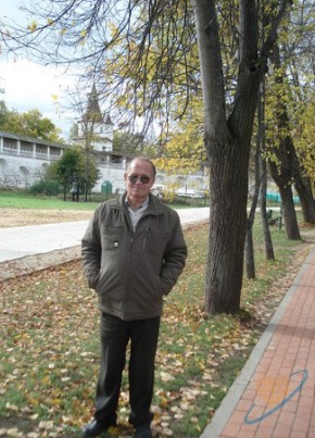 владимир, 78, Россия, Москва