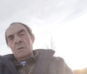Гена, 71 год, Новосибирск