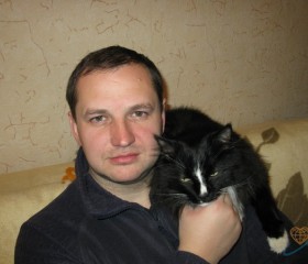 Евгений, 52 года, Владивосток