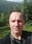 Андрей, 42 года, Норильск