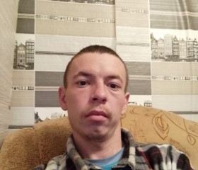 Дамир, 27 лет, Троицк (Челябинск)