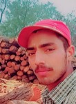 Parwaz Mir, 20 лет, Srinagar (Jammu and Kashmir)