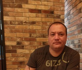 Николай, 40 лет, Троицк (Челябинск)