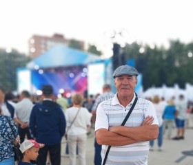 Владимир, 70 лет, Можга