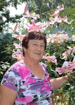 Валентина, 75, Россия, Железногорск (Курская обл.)