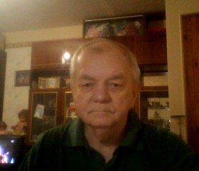 Алексей федоров, 69 лет, Петрозаводск