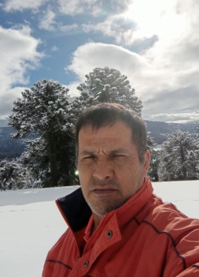 Rodrigo, 36, Chile, Temuco