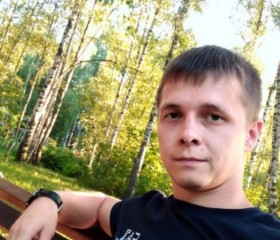 Дмитрий, 32 года, Оленегорск