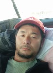 Али, 36 лет, Бишкек