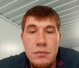 Антоха, 29 лет, Воронеж