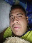 Manuel , 32 года, Puebla de Zaragoza