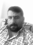 güngör, 36 лет, Erzincan