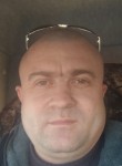 Денис Иванов, 41 год, Сысерть