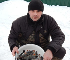 Дмитрий, 39 лет, Бердичів