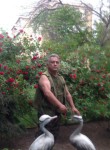 Рустам, 56 лет, Toshkent