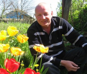 Дмитрий, 61 год, Донецк