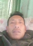 Phùng, 44 года, Vinh