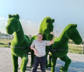 Nikolay, 62, Saratov