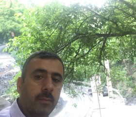 ali, 54 года, مشهد