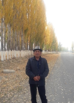 Бек, 57, Кыргыз Республикасы, Бишкек