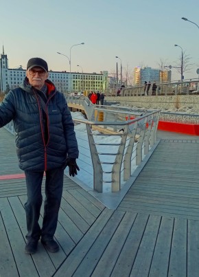 Владимир, 72, Россия, Москва