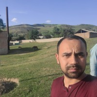406alisher