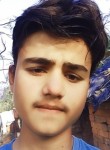 Fareedkhankg, 18 лет, Utraulā