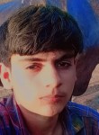 Umar Khan, 19 лет, Ahmedabad