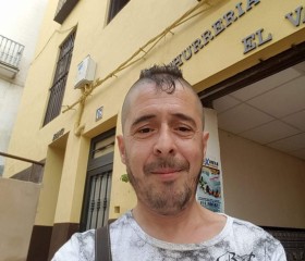 Pedro Picatoste, 52 года, La Villa y Corte de Madrid