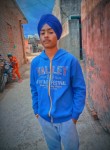 Rana Singh, 20 лет, Ludhiana