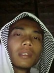 Andre, 36 лет, Kabupaten Poso