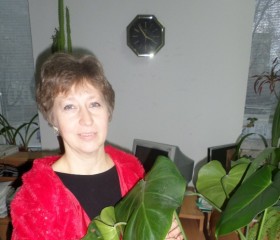 Людмила, 57 лет, Дніпро