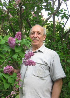 сергей, 55, Россия, Шереметьевский