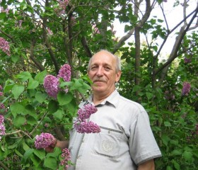 сергей, 55 лет, Шереметьевский