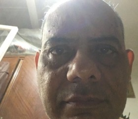 جمال, 64, Alexandria