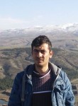 Salim, 36 лет, Ankara