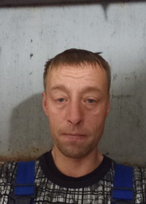 Борис, 43, Россия, Коломна