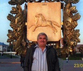 Владимир, 74 года, Томск