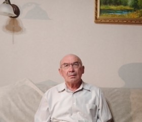 Rishat, 74, Kazan