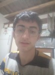 ABDULLAH , 21 год, Kağızman