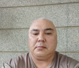 Айбек Умурзаков, 49 лет, Бишкек