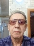Виктор, 74 года, Ижевск