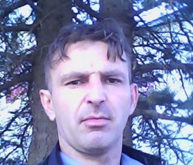 Алексей, 45 лет, Сафоново