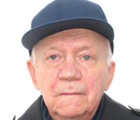 Владимир, 72 года, Санкт-Петербург