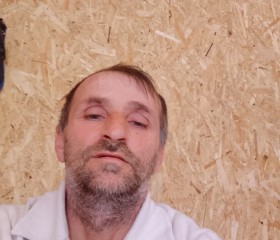 Расул, 46 лет, Мантурово (Костромская обл.)