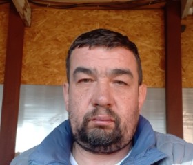 Андрей, 52 года, Сысерть